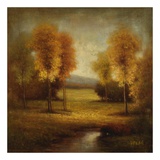 Light and Gold Stream Poster by Pierre 