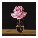 Pink Rose Prints by Patrick Farrell