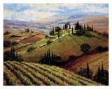 Tuscan Afternoon Prints by Steve Thoms