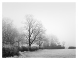 Misty Tree, Lined Field Posters by Stephen Rutherford-Bate