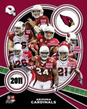 Arizona Cardinals 2011 Team Composite Photo