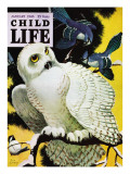 White Owl - Child Life, January 1946 Giclée-Druck von Jack Murray