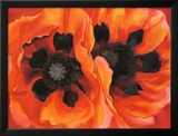 Oriental Poppies, 1928 Posters by Georgia O'Keeffe
