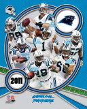 Carolina Panthers 2011 Team Composite Photo