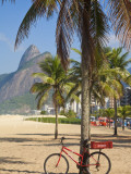 Brazil, Rio De Janeiro, Leblon Beach, Bike Leaning on Palm Tree Posters par Jane Sweeney