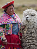 Peru, a Female with an Alpaca at Abra La Raya Photographie par Nigel Pavitt