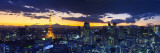 Skyline from Shiodome, Tokyo, Japan Photographic Print by Jon Arnold