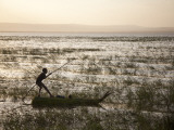 Ethiopia, Lake Awassa; a Young Boy Punts a Traditional Reed Tankwa Through the Reeds Photographic Print by Niels Van Gijn