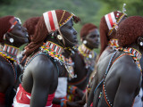 Kenya, Laikipia, Ol Malo Photographie par John Warburton-lee