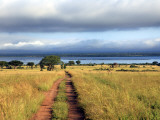 Landscape, Murchison Falls National Park, Uganda, East Africa Photographic Print by Ivan Vdovin
