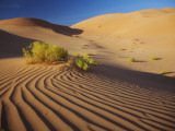 Oman, Empty Quarter; the Martian-Like Landscape of the Empty Quarter Dunes Fotografie-Druck von Niels Van Gijn