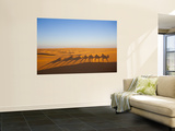 Tunisia, Ksour Area, Ksar Ghilane, Grand Erg Oriental Desert, Camel Caravan Wall Mural by Walter Bibikow