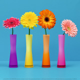 Four Flowers and Blue Background Kunstdrucke von Camille Soulayrol