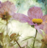 Donna Geissler - He Loves Me... - Tablo Donna Geissler - He Loves Me... - Tablo
