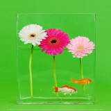 Flowers and Gold Fishes II Poster von Camille Soulayrol