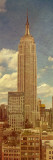 Empire State Building, c.1950 Posters by Jairo Rodriguez