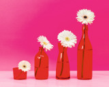 Pop Flowers Posters by Camille Soulayrol