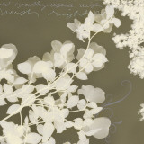 Wishes and Leaves I Posters by Amy Melious
