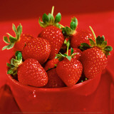 Strawberries Prints by Alena Hrbkova