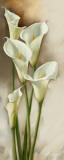 Callas Gracieux I Posters par Igor Levashov