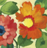Anemone Garden IV Poster by Kim Parker