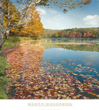 Bass Lake In Autumn II Prints by Marty Hulsebos