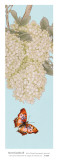 Secret Garden II Prints by Liu Chang