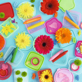 Colors and Flowers Prints by Amelie Vuillon