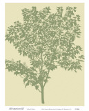 All American III Prints by Susan Davies