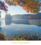 Bass Lake In Autumn I Poster by Marty Hulsebos