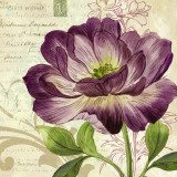 Study in Purple II Posters by Pamela Gladding