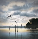 Circling Skies Print by William Vanscoy