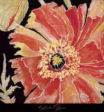 Oriental Poppy Posters by Roberta Ahrens