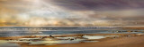 Tidal Pool Poster by Mike Calascibetta
