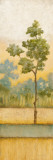 Sunrise II Póster por Norm Olson Sunrise II Póster por Norm Olson