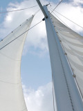 Voyage II Poster by Susan Bryant