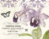 Jardin Botanique II Posters by Paula Scaletta
