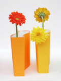 Yellow and Red Prints by Amelie Vuillon