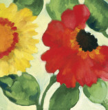 Anemone Garden III Affiches par Kim Parker