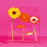 Flowers and Gold Fishes I Prints by Camille Soulayrol