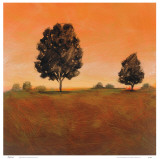 Equinox Prints by Brett Harmony