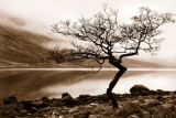 Loch Etive Art by Danita Delimont