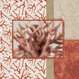 Coral Branch II Láminas por Elizabeth Medley Coral Branch II Láminas por Elizabeth Medley