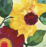 Anemone Garden I Prints by Kim Parker