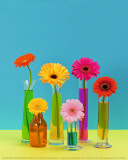 Pop Flowers Prints by Camille Soulayrol
