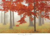 Autumn Mist II Prints by Donna Geissler