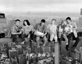 Friends - Over New York Pôsteres