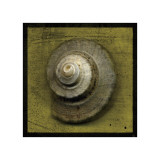 Whelk Crown Lámina giclée por John Golden Whelk Crown Lámina giclée por John Golden