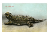 Horny Toad Giclee Print
