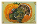 Thanksgiving Greetings, Turkey, Pumpkin Giclee Print